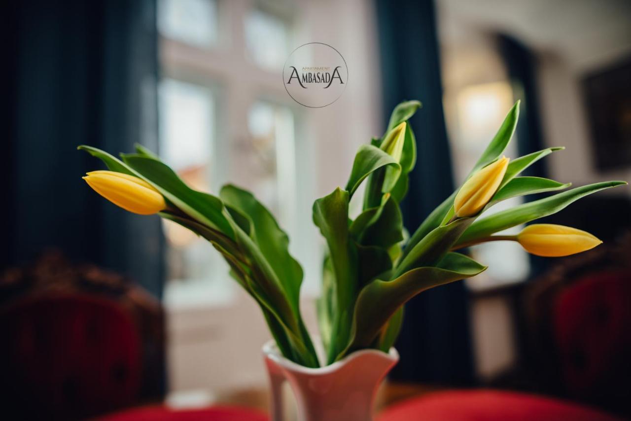 Apartament Ambasada Zamość Buitenkant foto